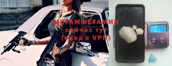 сатива Гусь-Хрустальный
