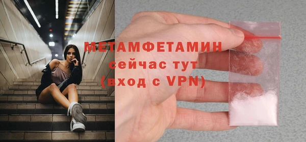 сатива Гусь-Хрустальный