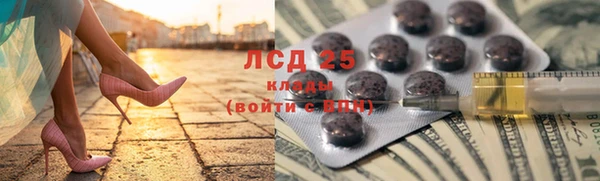 сатива Гусь-Хрустальный