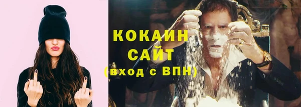 сатива Гусь-Хрустальный