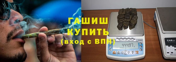 сатива Гусь-Хрустальный