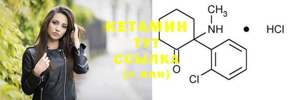 сатива Гусь-Хрустальный