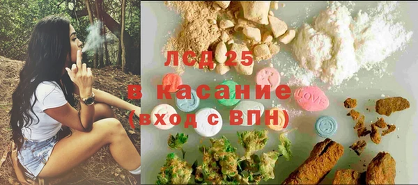 сатива Гусь-Хрустальный