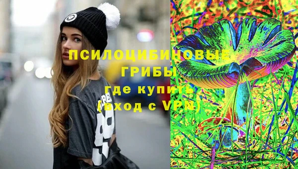сатива Гусь-Хрустальный