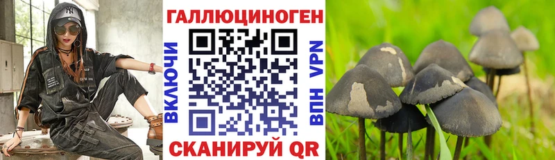 Галлюциногенные грибы Psilocybine cubensis  Купить закладки  Карабулак 